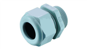 Dławnica Szara M20 19000005182