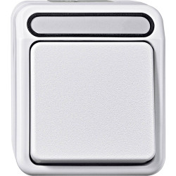 Schneider Electric MEG3150-8019 AquaStar Switch wet room polar white