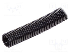 LP-61746975