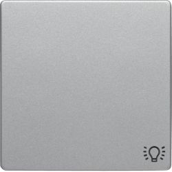 Klawisz z nadr. symb. "światło" łącz. 1-kl., alu aks, lak