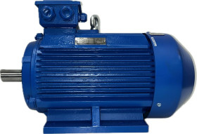 Silnik AC 18,5 kW TECO Westinghouse 400 V 1 -fazowy Silnik klatkowy