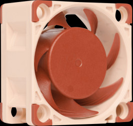 NF-A4X20 PWM Noctua NF-A4x20 PWM fan, 40 mm