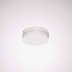 Trilux 7156300 LuceoS H ZKP 03 1 szt.