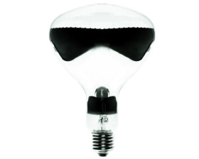 Promiennik podczerwieni E27 375W R125 IR 230-250V CL 1CT 8711500126597