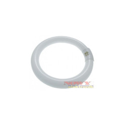 Świetlówka TLE22W/865 kołowa TLE 6500K PHILIPS fi216