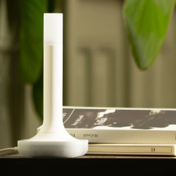 Home Assistant Connect ZBT-2