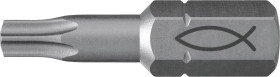 Bity Fischer FPB T 10 PROFI Bit W 10 557845 10 szt.
