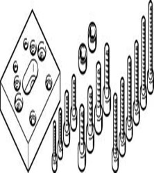 Adapter Festo do Jednostka obsługi HMSV