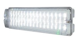 Plafon zabezpieczony 6 W, 230 V, IP65 , zawiera żarówkę, Knightsbridge, EMLED1L