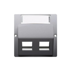 Simon Basic Pokrywa gniazd teleinformatycznych na wkłady RJ Panduit skośna podwójna stal inox BMGPS2P.02/21