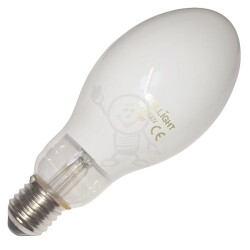 R 125W E27/540 E75 Thorgeon 0771