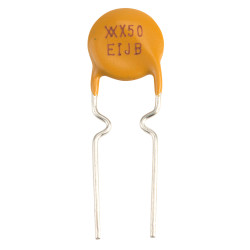 Littlefuse RXEF050 0.5A Polyswitch Fuse