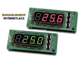 REG.TEMP.2-KANAŁOWY ZDSM