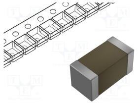 0201B221K250CT