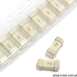 42015000000 Fuse 5A 125V SMD WICKMANN