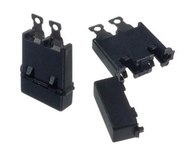 BsaUg1 BsaUg1