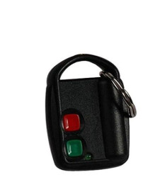 Pilot 2-kanałowy DWB 100HT