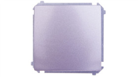 Simon Basic Łącznik Jednobiegunowy Stal Inox Bmw1a.01/21