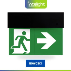 Oprawa ewakuacyjna DIRECTO S M 1H MT BLK + (VD3, VD4, VD5 x 2) / 90681