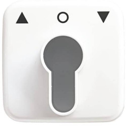 Busch-Jaeger Zaślepka Przełącznik kluczykowy, Przycisk kluczykowy Reflex SI czysty biały (ral 9010), biały 2CKA001710A14