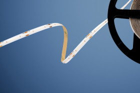 51542830 LED STRIP BASIC CSP 480 5 m 24V 3000K