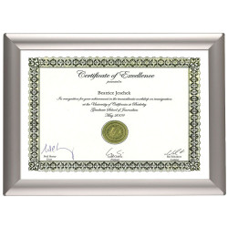 Metroplan Busygrip&#xAE; Aluminium Certificate Frames 297x210mm