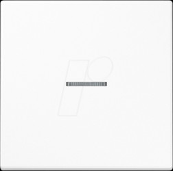 BTLS17101WW Bluetooth pushbutton, single, alpine white