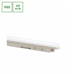LIMEA CONNECT HERMETYK 1200mm 36W CW 230V 120st IP65 IK08 SZARY 3 lata gw.