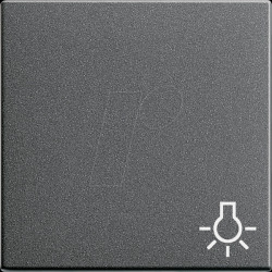 028528 Rocker switch, light, anthracite