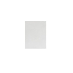 P-20X30X0,3/P