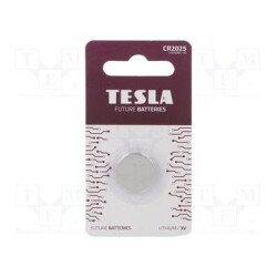 55BAT-CR2025/TESLAB1