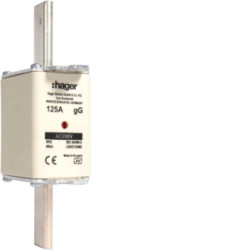 Wkładka bezpiecznikowa zwłoczna NH2 gG 690V 125A LNH2125M6