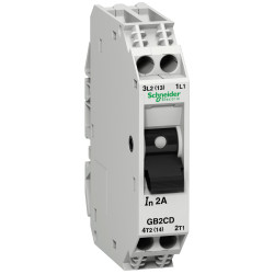 Wyłącznik termiczny 16A 2 Pole Schneider Electric TeSys 250V