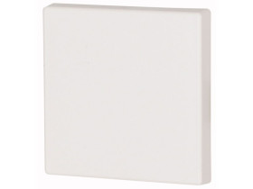 klawisz pojedynczy biały 55x55mm CWIZ-01/01 126042 EATON