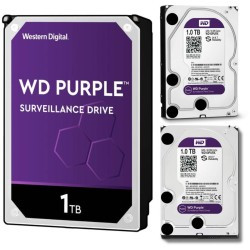 DYSK WD PURPLE 1TB WD10PURZ
