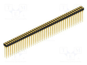 MK.213.X.2.82.G