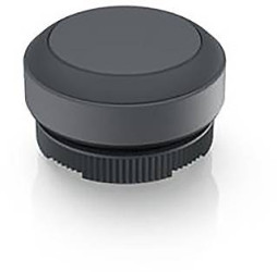 RAFI 1.30.270.001/0707 1.30.270.001/0707 Przycisk chwilowy (D x S x W) 29.8 x 29.8 x 18.5 mm 1 szt.