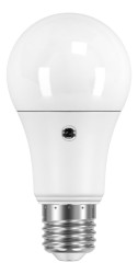 Żarówka GLS LED, 10 W, E27, 230 V, 4000K, SHOT