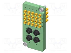 IGN-50581