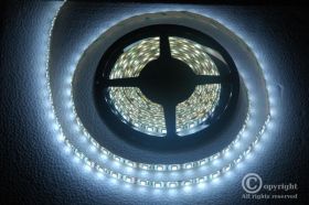 TAŚMA LED 5050 300LED/5m 12V BIAŁY ZIMNY WODOODPORNA