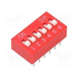 55DSE06RGT