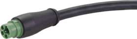 Connection cable, 5 m, plug, 6 pole straight to open end, 1.5 mm², 21342800641050