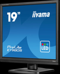 E1980S-B1 48-cm monitor, black