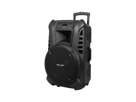 Kolumna aktywna ( z 2 mikrofonami bezprzewodowymi, SD, Bluetooth,...