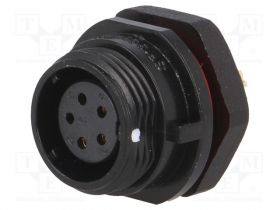 SP1312/S5