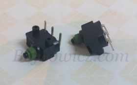 MikroprzeĹÄcznik 1055/58 Passat VW RoHS