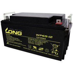 Long WP65-12 12V 65Ah VRLA Battery M6 Connector Maintenance-Free