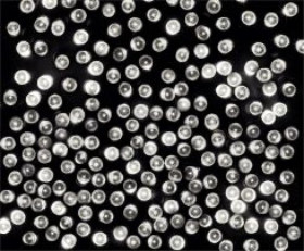 Lampki choinkowe LED 100l z gniazdkiem biały 9,9m 230V/31V 8,4 W IP 44 na zewnątrz i do wnętrz 13-102