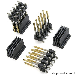 TSM-105-03-S-DV 2 x 5 Pin Connector SMD SAMTEC