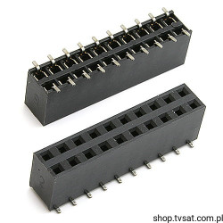 61000421821 Socket 2 x 10 Pin SMD WURTH